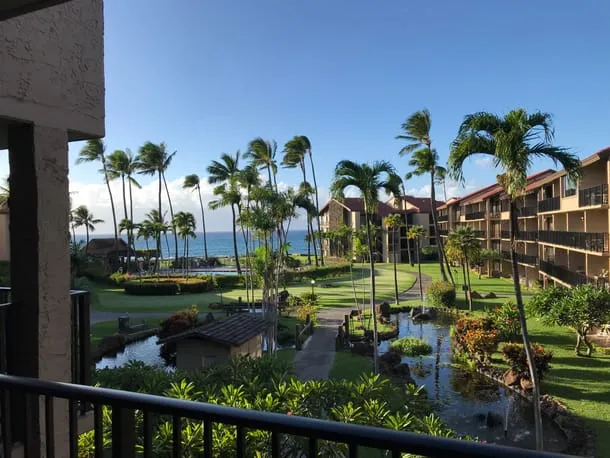 Photo 6 from my trip to Maui