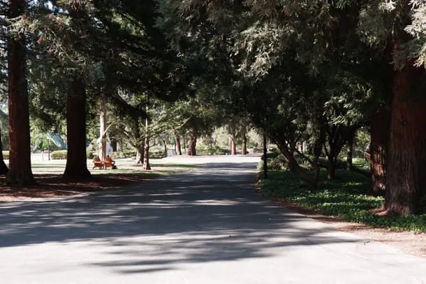 Photo 3 from my trip to Palo Alto