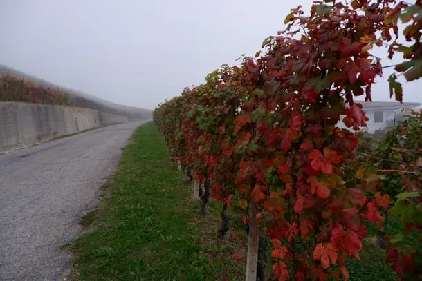 Photo 6 from my trip to Italy