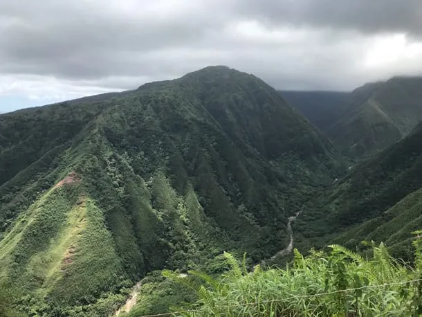 Photo 5 from my trip to Maui