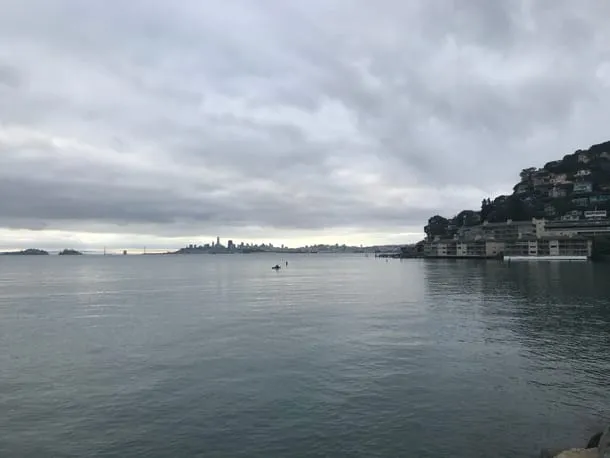 Photo 15 from my trip to San Francisco
