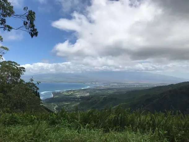 Photo 8 from my trip to Maui