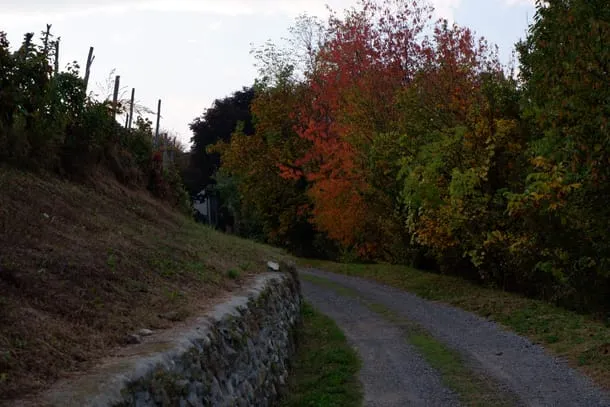 Photo 37 from my trip to Italy
