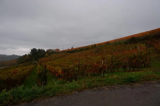 Photo 24 from my trip to Italy