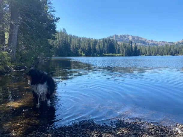 Photo 27 from my trip to Lake Tahoe
