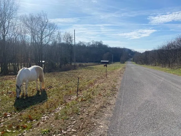 Photo 20 from my trip to Tennessee