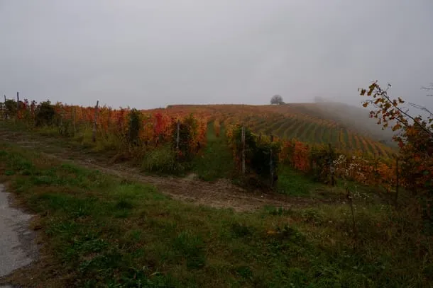 Photo 64 from my trip to Italy
