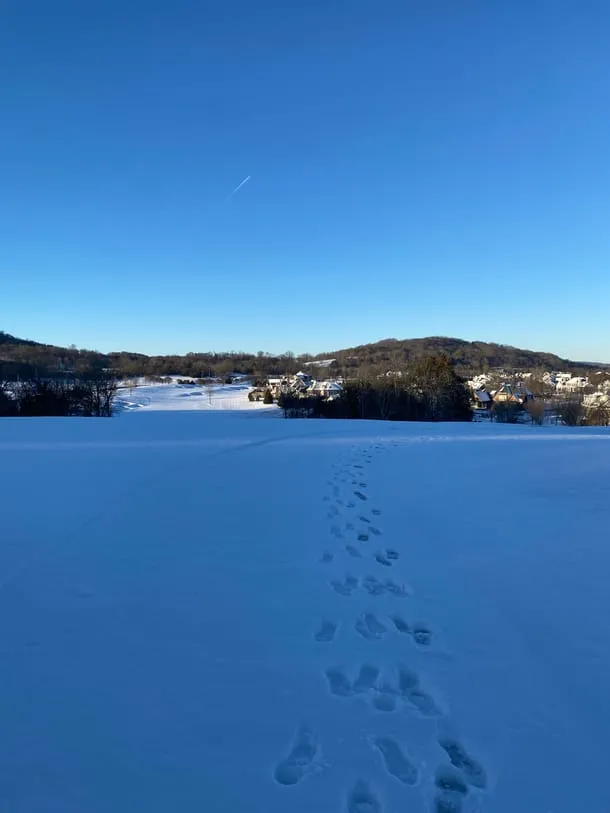 Photo 1 from my trip to Tennessee