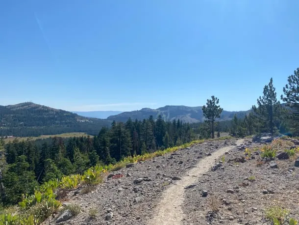 Photo 7 from my trip to Lake Tahoe