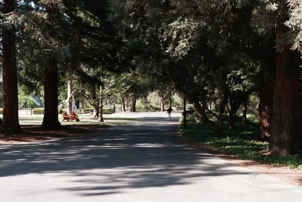 Photo 7 from my trip to Palo Alto