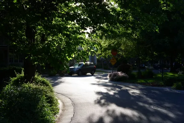 Photo 41 from my trip to Palo Alto
