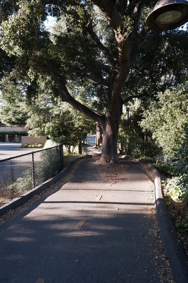 Photo 47 from my trip to Palo Alto