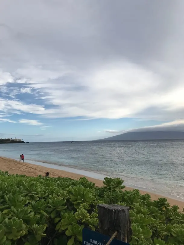 Photo 3 from my trip to Maui