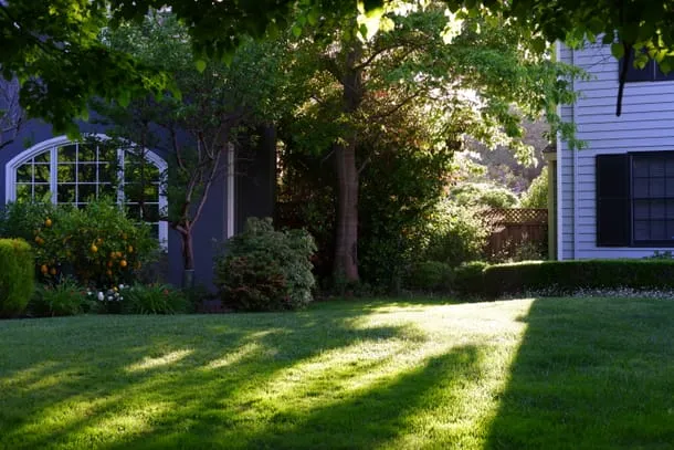 Photo 4 from my trip to Palo Alto