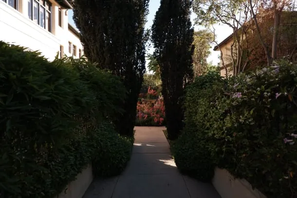 Photo 30 from my trip to Palo Alto