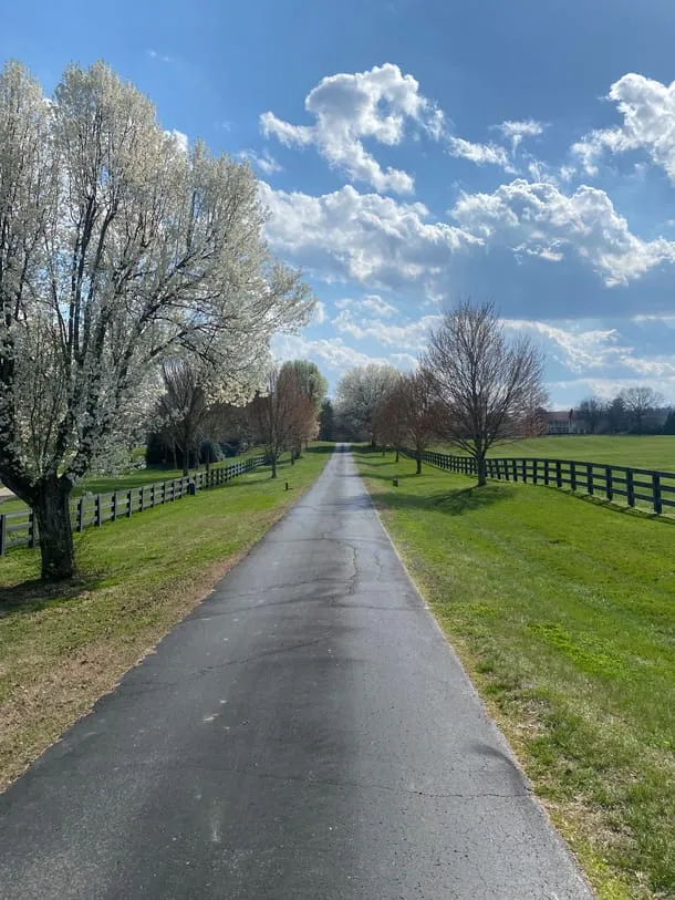 Photo 8 from my trip to Tennessee