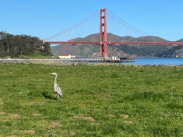 Photo 47 from my trip to San Francisco